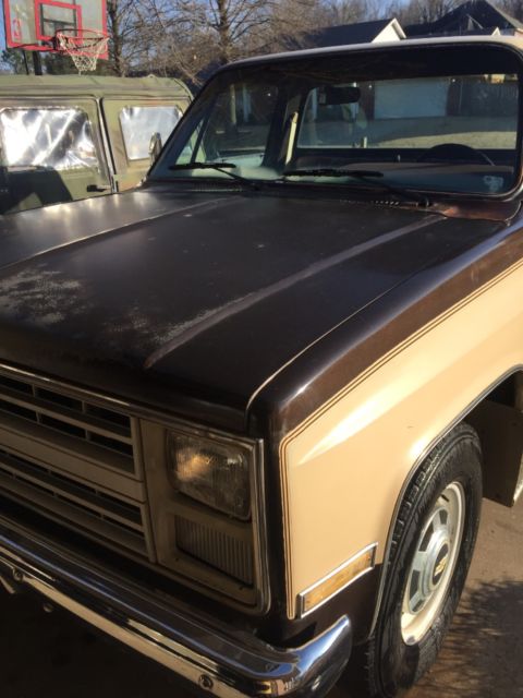 1986 Brown Chevrolet C-10 Standard Cab Pickup