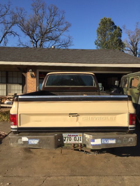 1986 Brown Chevrolet C-10 Standard Cab Pickup