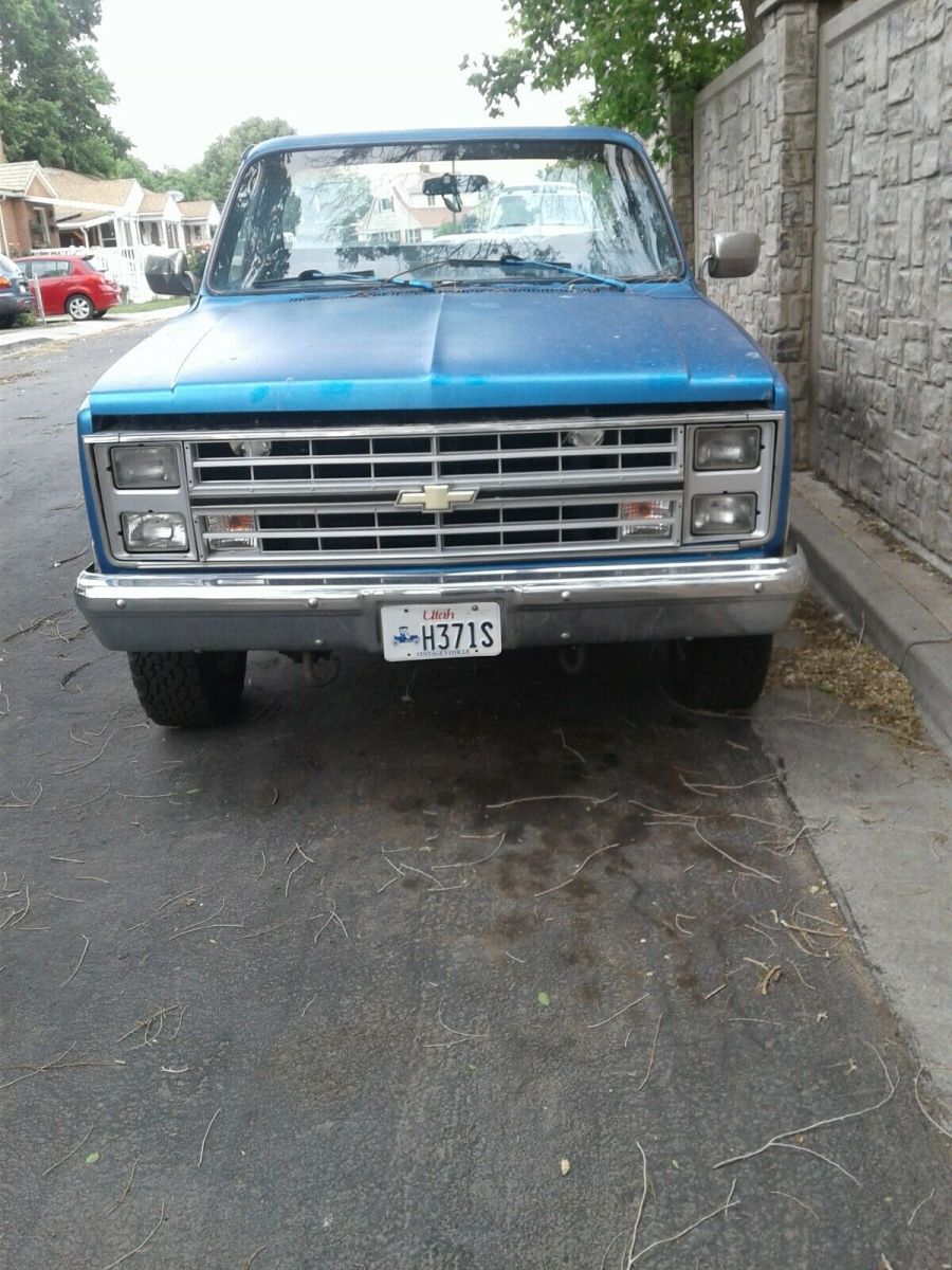 1986 Chevrolet Other Pickups Standard Cab Pickup