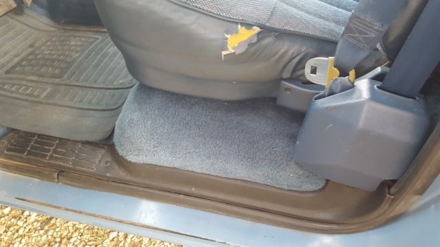 1986 Blue Chevrolet C-10 Standard Cab Pickup