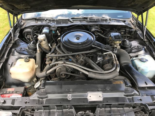 1984 BLACK Pontiac Firebird