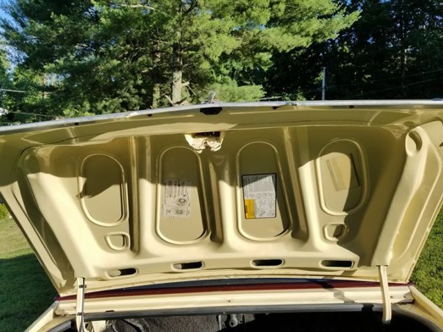 1986 Yellow Oldsmobile Cutlass Coupe