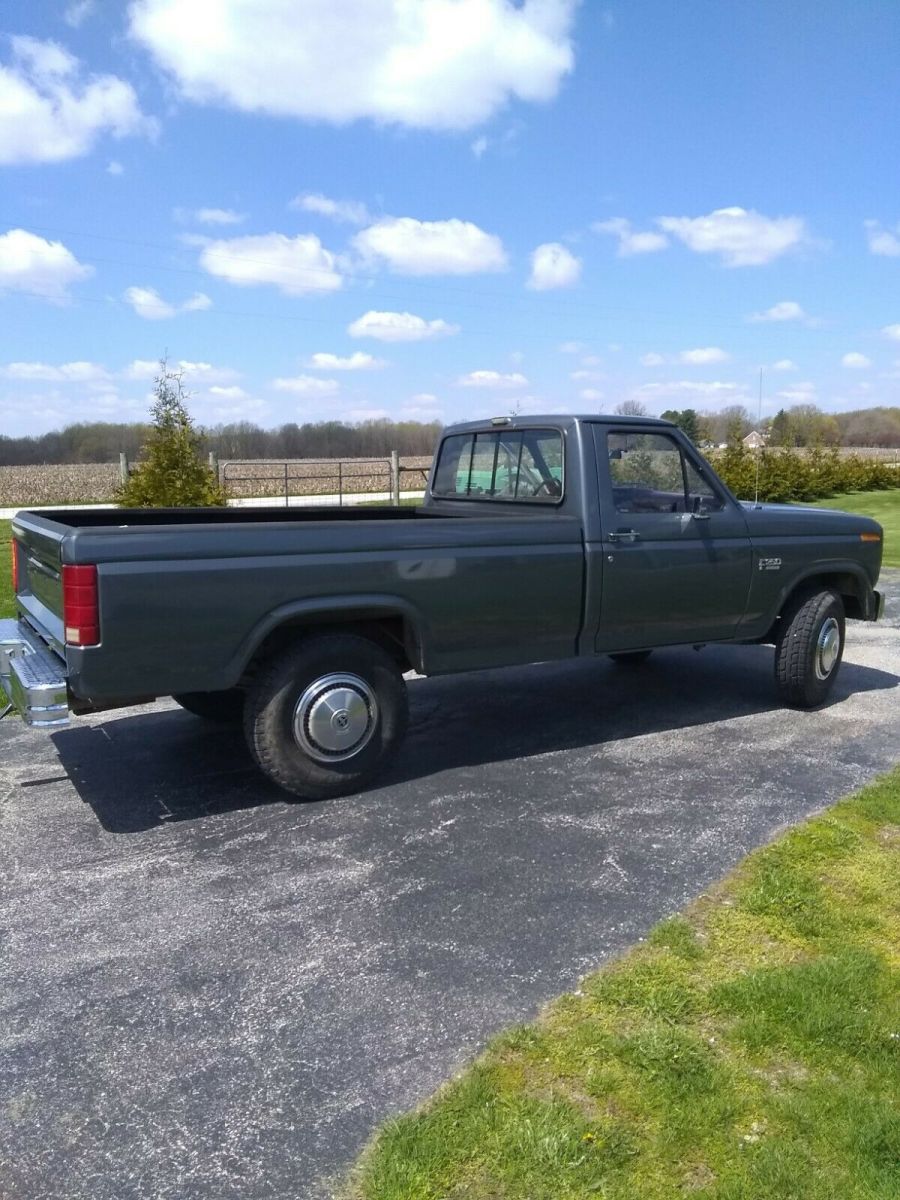 1986 Gray Ford F-250 Standard Cab Pickup