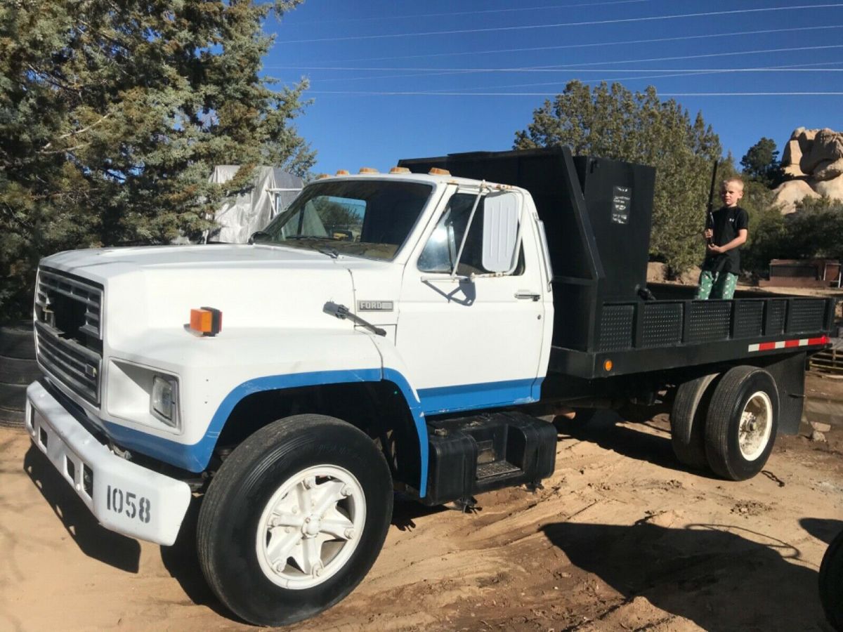 1986 Ford Other Pickups