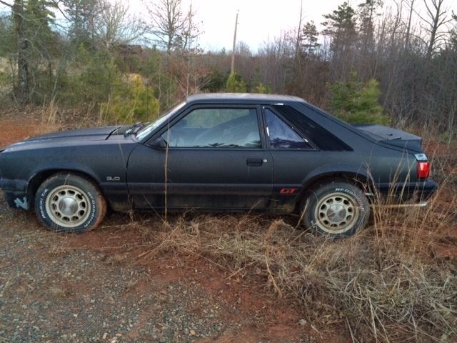 1986 Gray Ford Mustang Hatchback