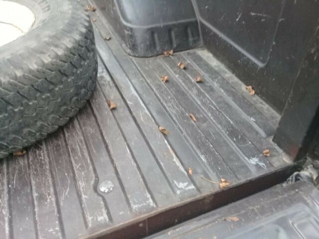 1986 Brown GMC Sierra 1500 Standard Cab Pickup