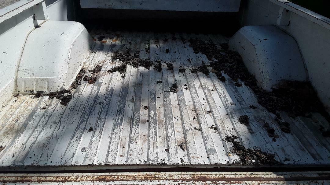 1986 Red GMC Sierra 1500 Standard Cab Pickup