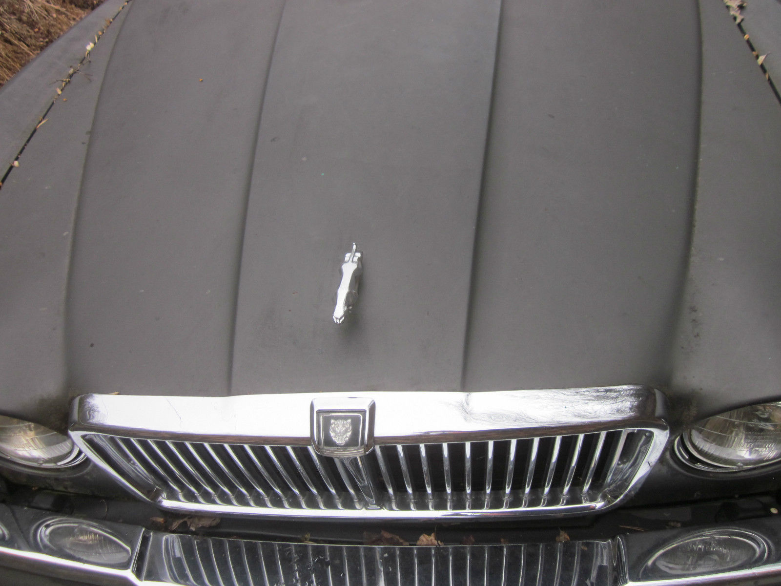 1986 Gray Jaguar Other