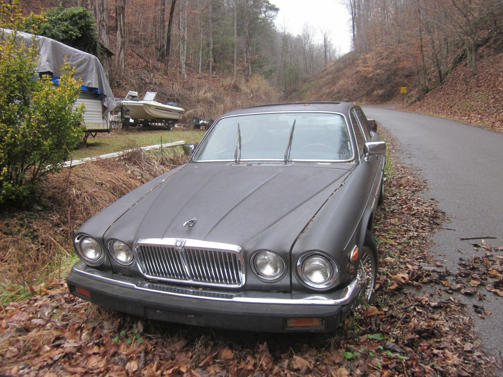 1986 Gray Jaguar Other