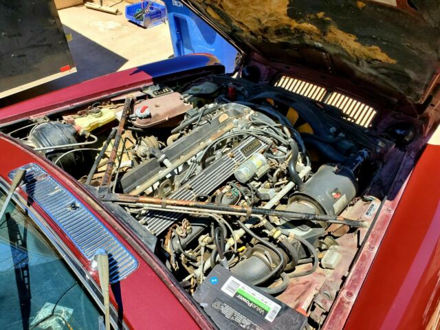 1986 Burgundy Jaguar XJ6 Solid