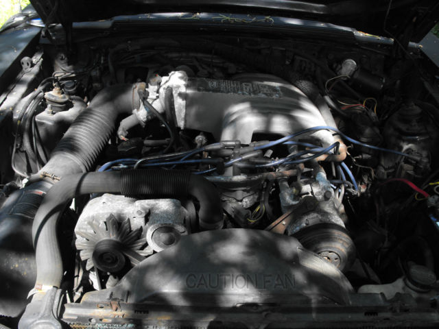 1986 Black Ford Mustang