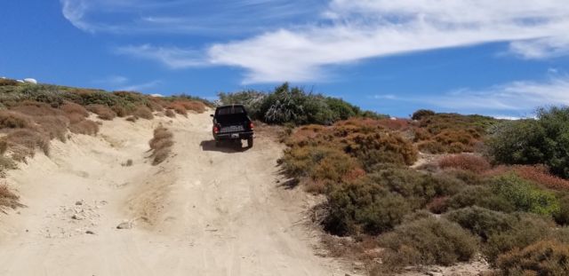 1986 Black Nissan Other Pickups