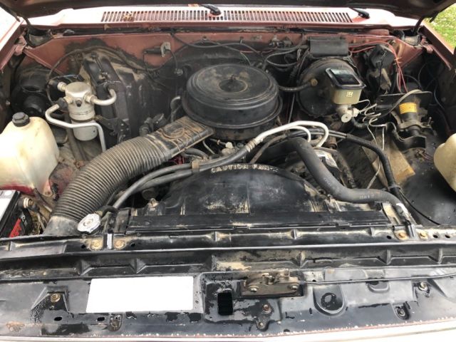 1986 Brown Chevrolet C-10 Standard Cab Pickup