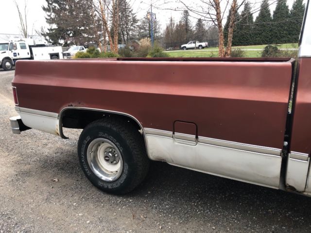 1986 Brown Chevrolet C-10 Standard Cab Pickup