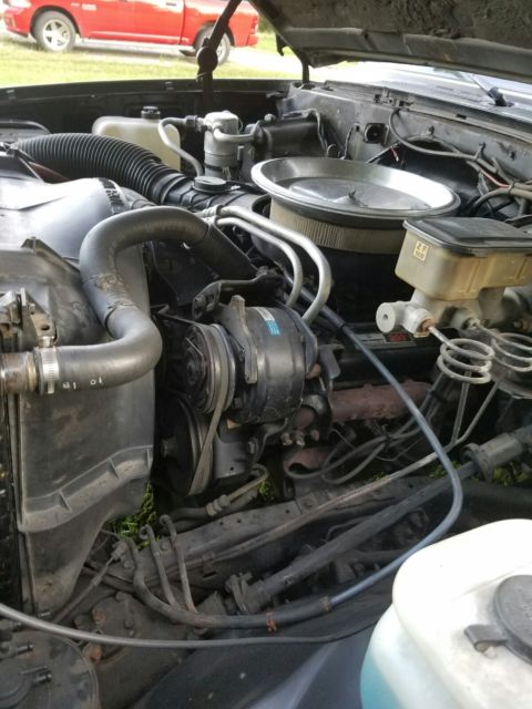 1986 Black Chevrolet Silverado 1500 Standard Cab Pickup