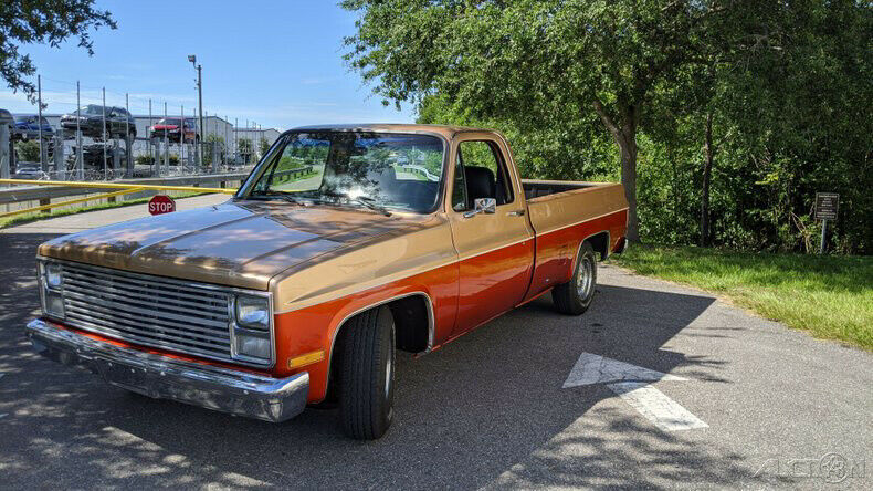 1986 Other Color Chevrolet C-10 Pickup Truck