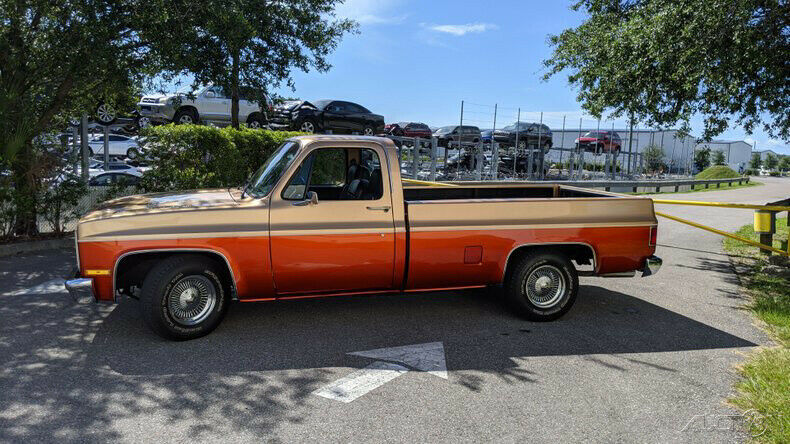 1986 Other Color Chevrolet C-10 Pickup Truck
