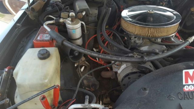 1987 Blue Chevrolet Capriceold Sedan