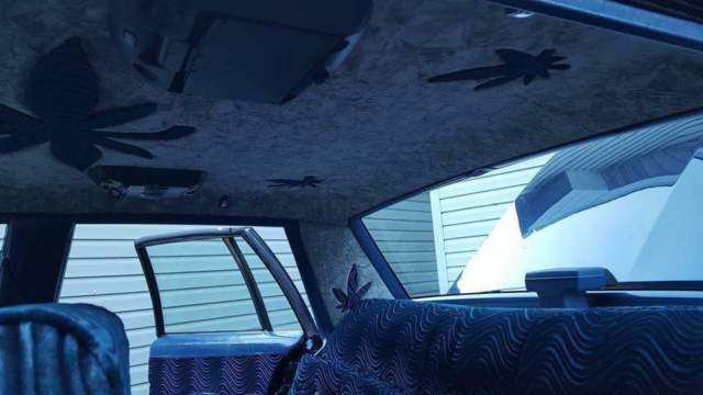 1987 Blue Chevrolet Capriceold Sedan