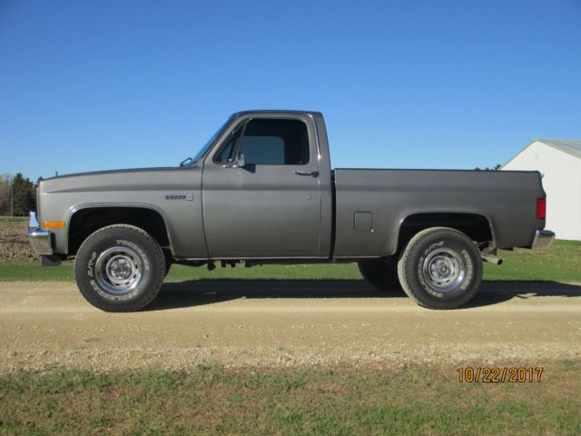 1987 Gray Chevrolet C-10