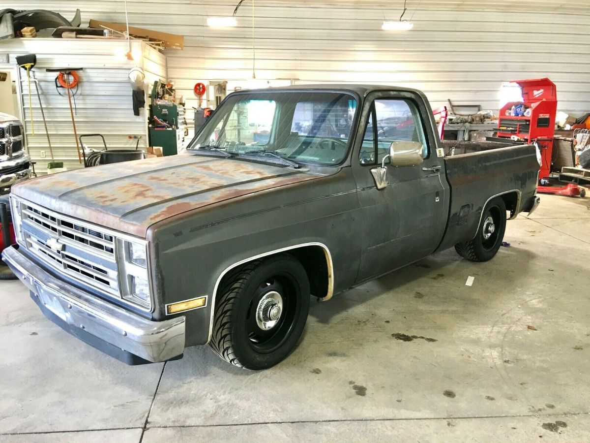 1987 Gray Chevrolet C-10 Standard Cab Pickup
