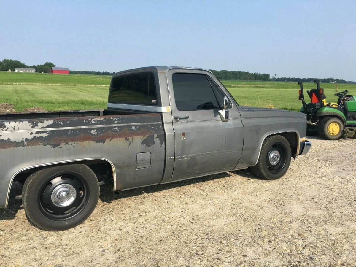 1987 Gray Chevrolet C-10 Standard Cab Pickup