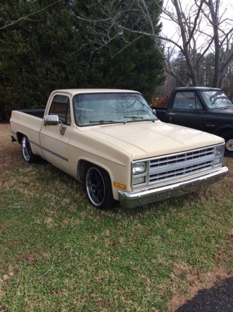 1987 Chevrolet C-10 Standard Cab Pickup