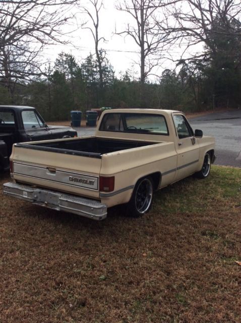 1987 Chevrolet C-10 Standard Cab Pickup