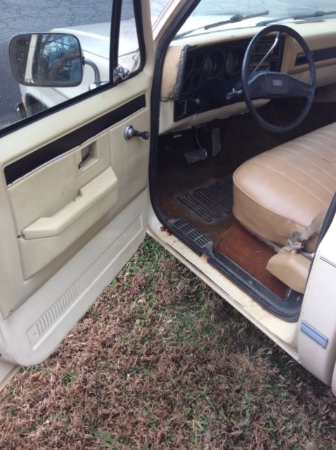 1987 Chevrolet C-10 Standard Cab Pickup