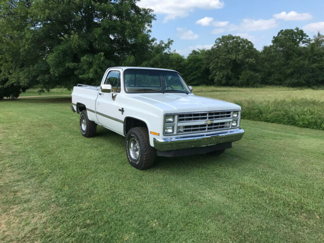 1987 White Chevrolet C/K Pickup 1500 Standard Cab Pickup