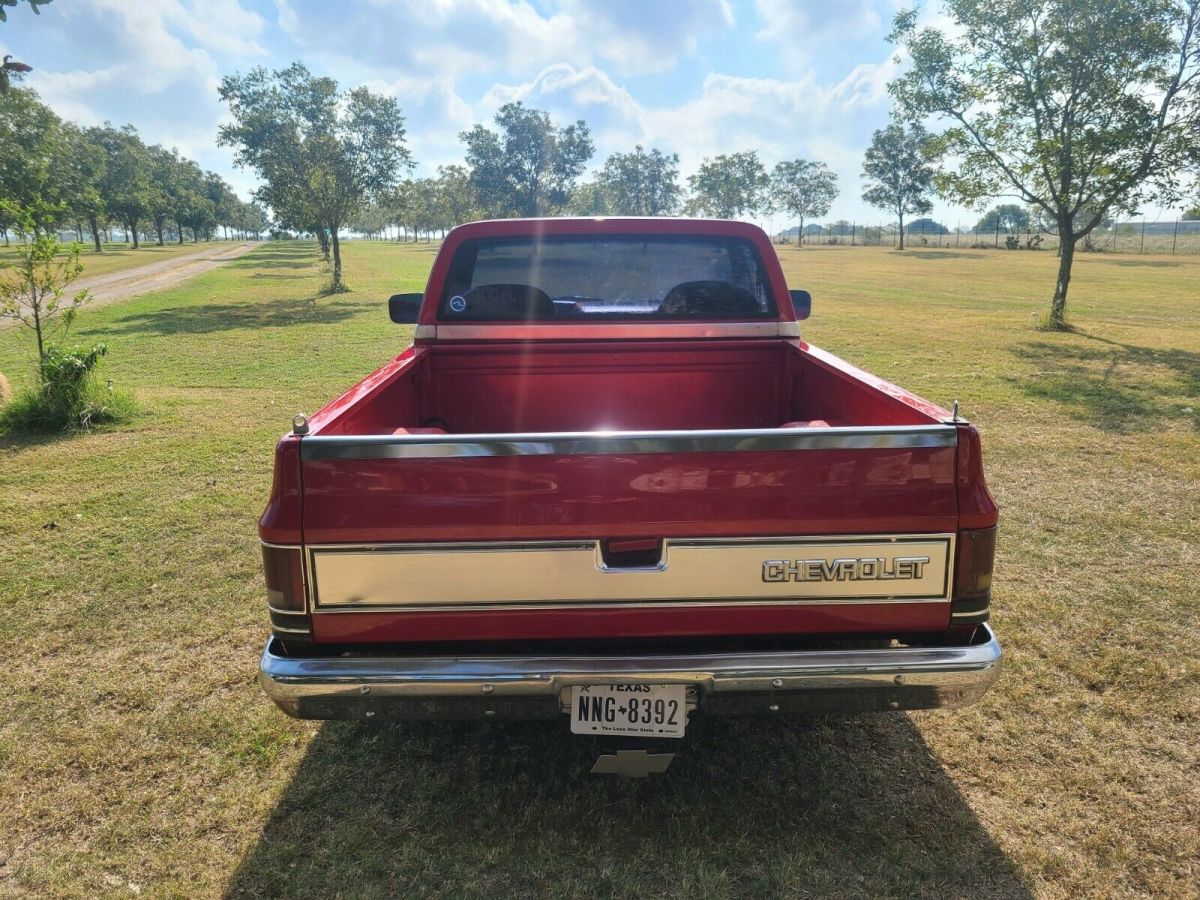 1987 Chevrolet R10 (Short Bed, 305 TBI V8) for sale: photos, technical ...