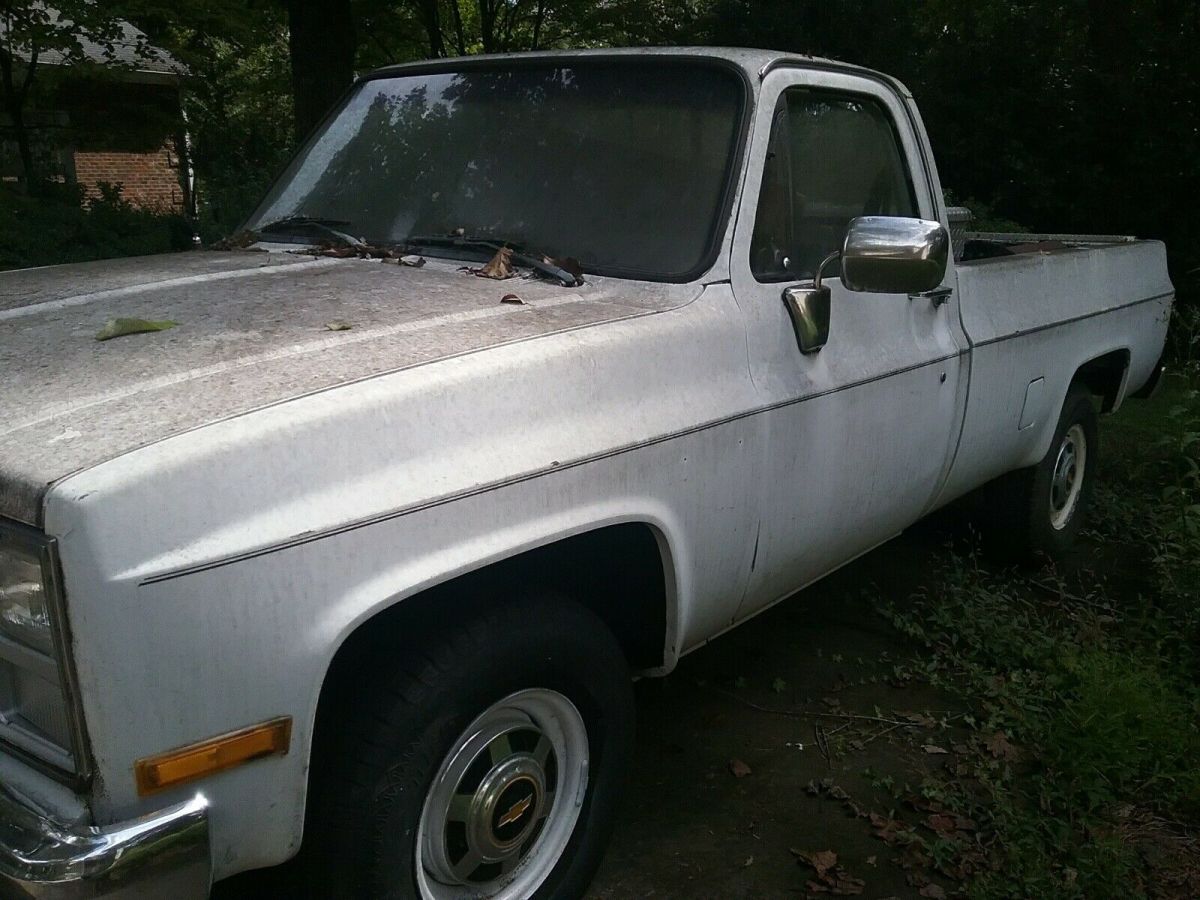 1980 White Chevrolet C10/K10 Pickup