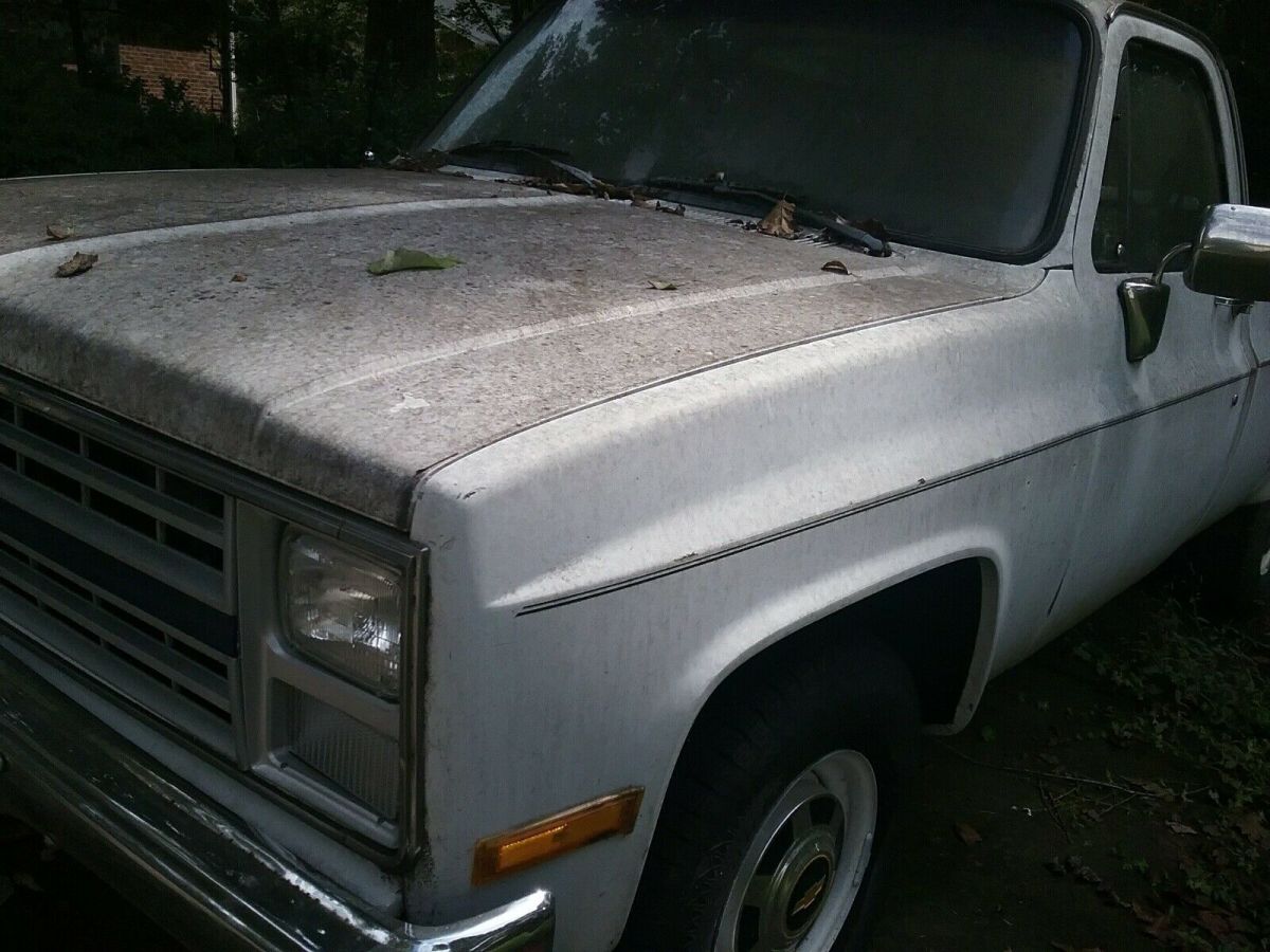 1980 White Chevrolet C10/K10 Pickup