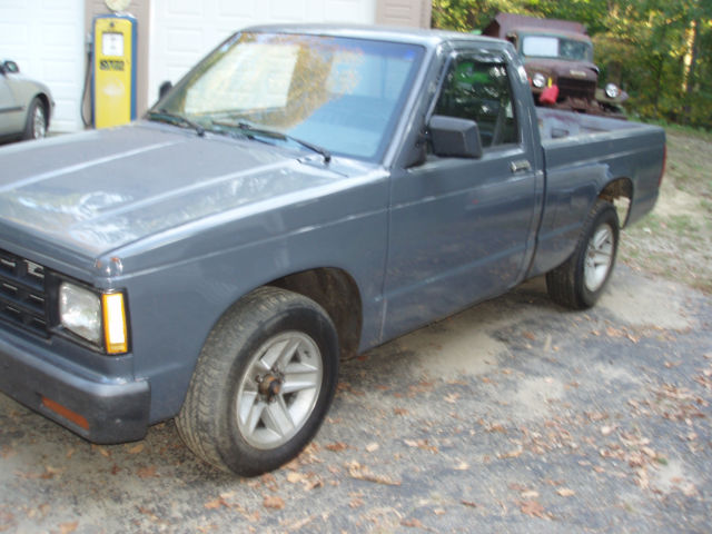 1987 Gray Chevrolet S-10 Standard Cab Pickup