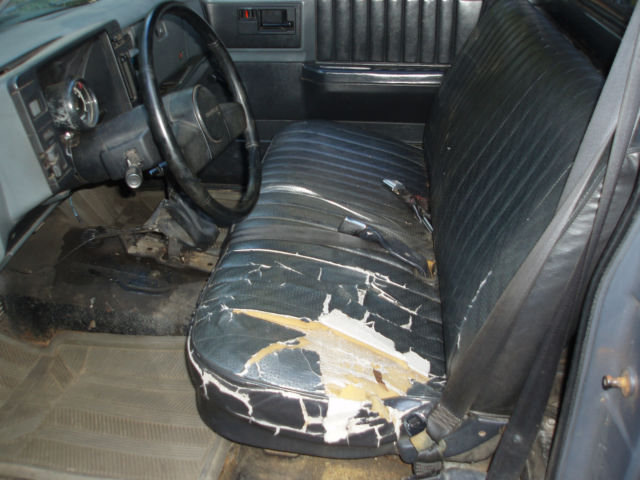 1987 Gray Chevrolet S-10 Standard Cab Pickup