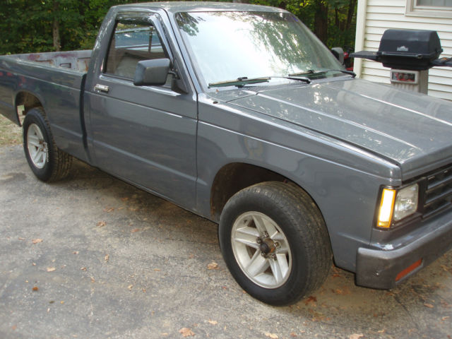 1987 Gray Chevrolet S-10 Standard Cab Pickup