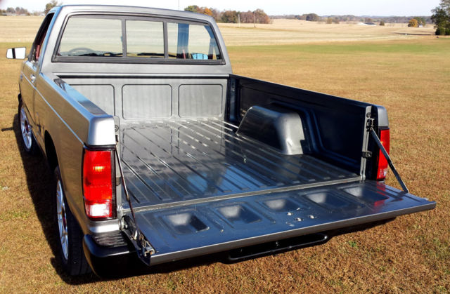 1987 Gray Chevrolet S-10 Standard Cab Pickup