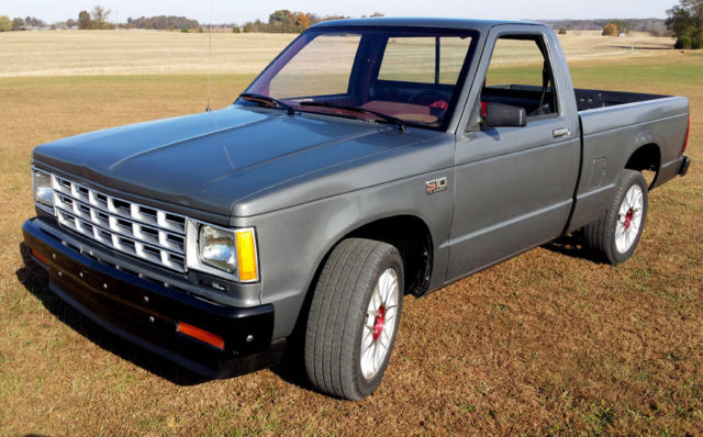 1987 Gray Chevrolet S-10 Standard Cab Pickup