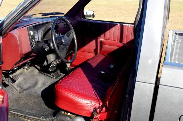 1987 Gray Chevrolet S-10 Standard Cab Pickup