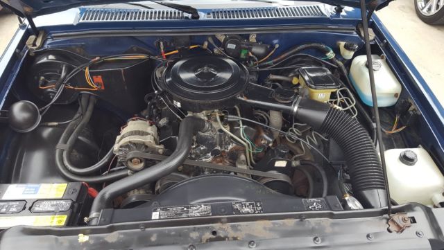 1987 Blue Chevrolet S-10 Standard Cab Pickup