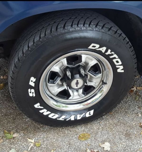1987 Blue Chevrolet S-10 Standard Cab Pickup