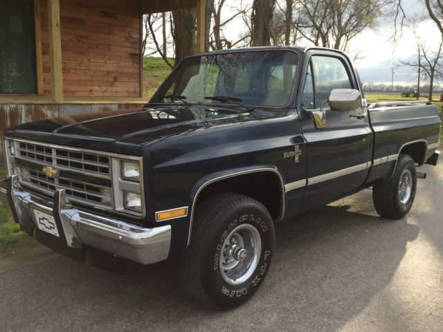 1987 blue Chevrolet Other Pickups Standard Cab Pickup