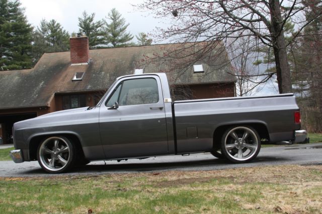 1987 Gray Chevrolet C-10 Standard Cab Pickup