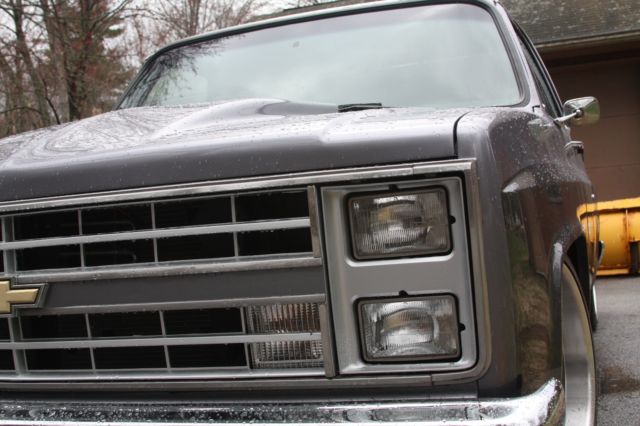 1987 Gray Chevrolet C-10 Standard Cab Pickup