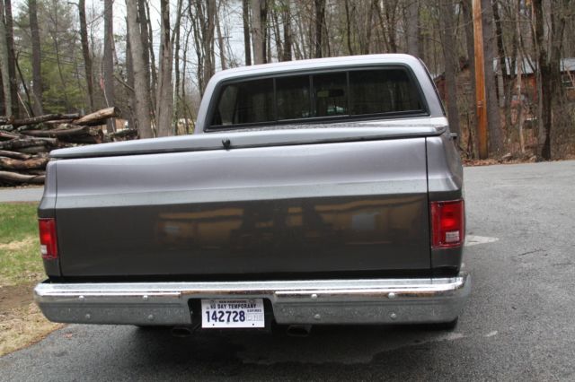 1987 Gray Chevrolet C-10 Standard Cab Pickup