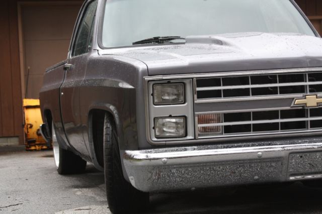 1987 Gray Chevrolet C-10 Standard Cab Pickup