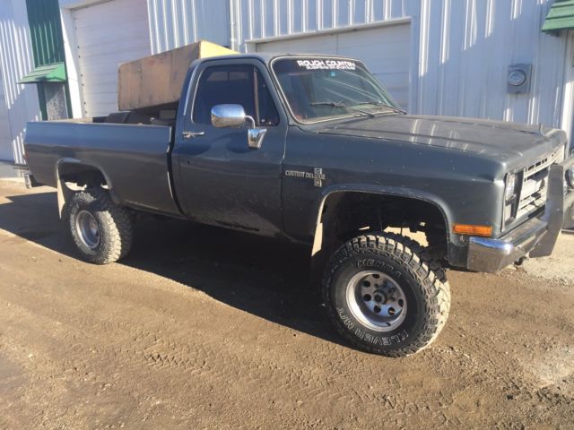 1987 Gray Chevrolet C/K Pickup 1500 REG CAB