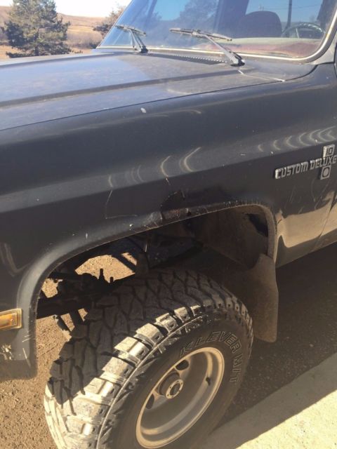 1987 Gray Chevrolet C/K Pickup 1500 REG CAB