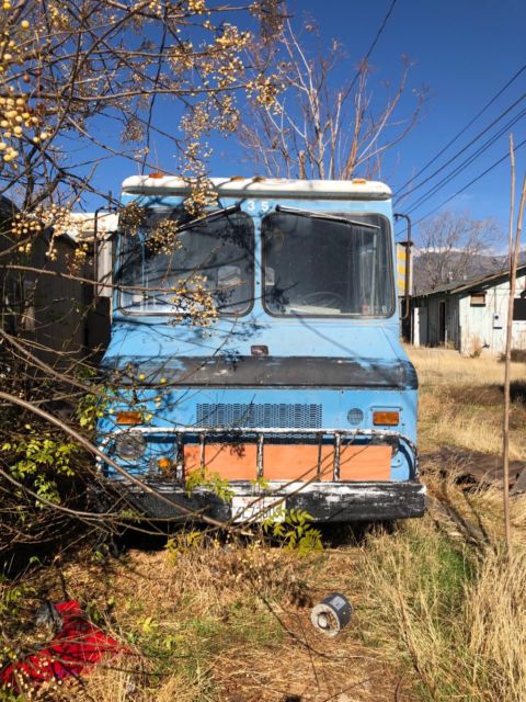 1987 Blue Chevrolet Other