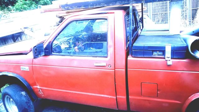 1987 Red Chevrolet S-10 Standard Cab Pickup